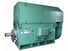 YR710-10Y系列6KV高压电机